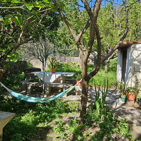 Apartment Aires De Ria Vintage, Barbacoa *